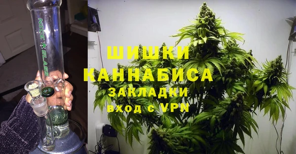 гидра Алексеевка