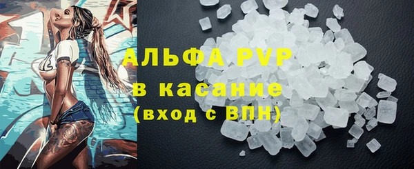 гидра Алексеевка