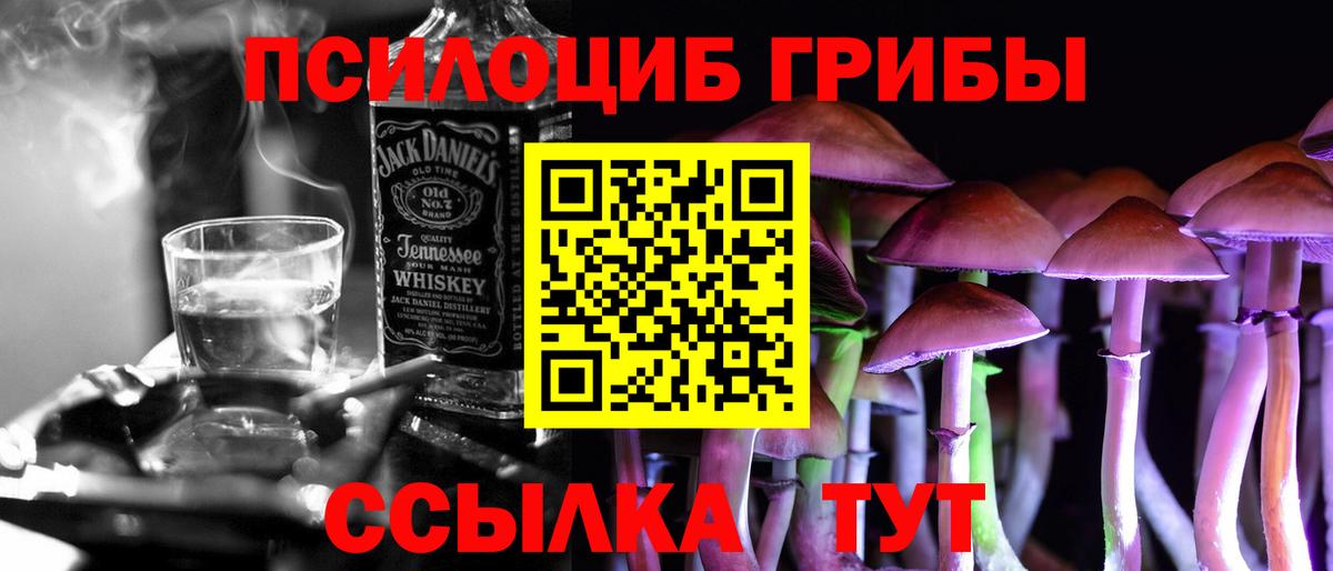 Псилоцибиновые грибы прущие грибы  Вход с VPN  Ленинск-Кузнецкий 