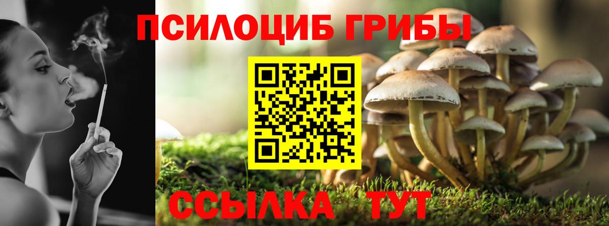 Псилоцибиновые грибы прущие грибы Ленинск-Кузнецкий